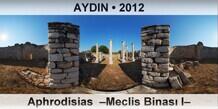 AYDIN Aphrodisias  Meclis Binas I