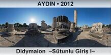 AYDIN Didymaion  Stunlu Giri I