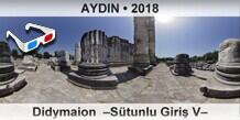 AYDIN Didymaion  Stunlu Giri V