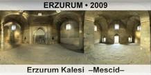 ERZURUM Erzurum Kalesi  Mescid