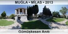 MULA  MLAS Gmkesen Ant